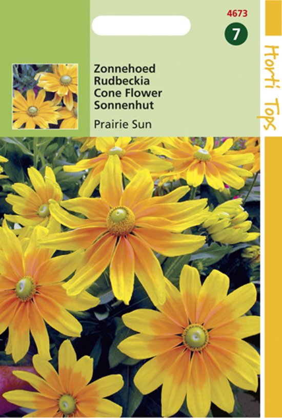 Zonnehoed Prairie Sun (Rudbeckia hirta) 45 zaden